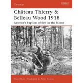 Château Thierry & Belleau Wood 1918